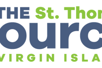 Logo The Source STT 2x